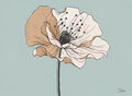 Image Not Available